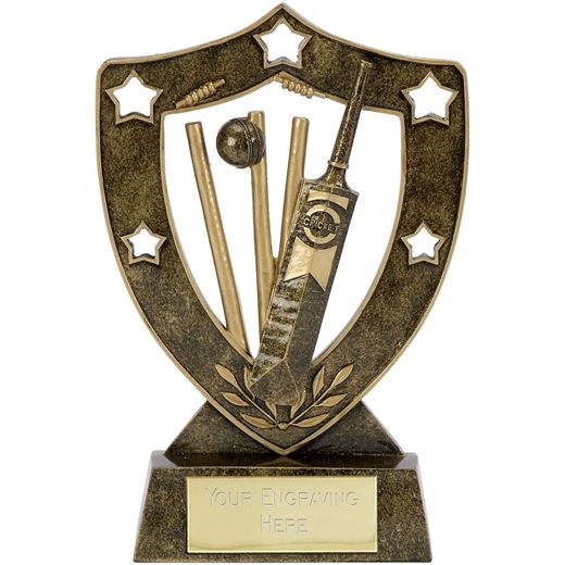 Shield Star Cricket Trophy 20.5cm (8")