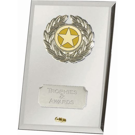 Silver Crest Mirror Award 12.5cm (5")
