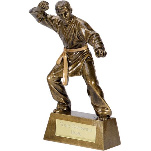 Antique Gold Pinnacle Karate Trophy 18.5cm (7.25")