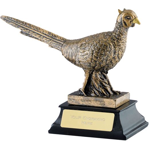 Antique Gold Resin Pheasant Trophy on Black Base 11cm (4.25")