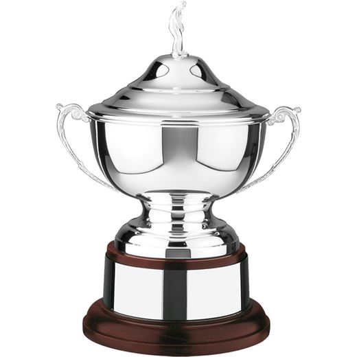 Silver Plated Golf Challenge Bowl with Plinth Band 30.5cm (12")