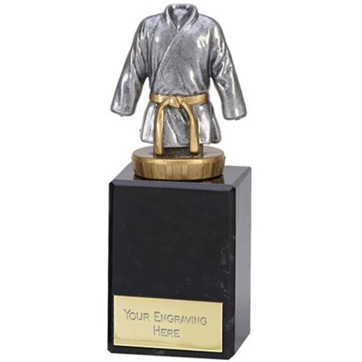 Silver & Gold Plastic Martial Arts trophy on Marble Base 15cm (6")