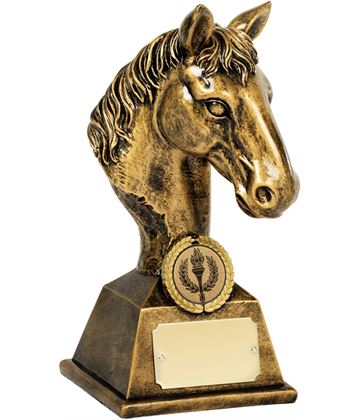 Horse Riding Trophies and Equestrian Trophies | Trophy Store