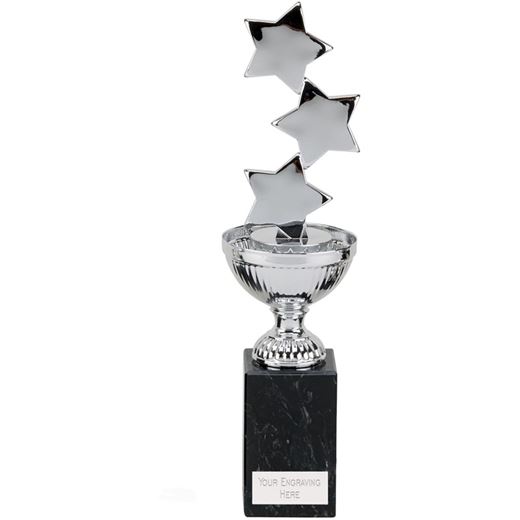 Hope Star Silver Cup 26.5cm (10.5")