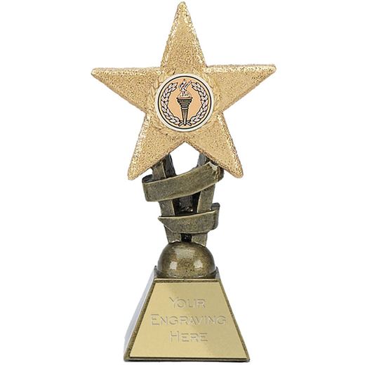 Multi Awards Star Design Trophy 10cm (4")