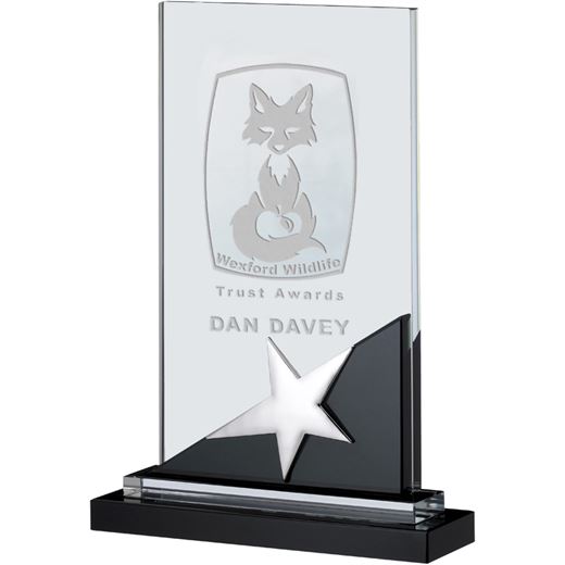 Optical Crystal & Black Glass Plaque Star Award 24cm (9.5")