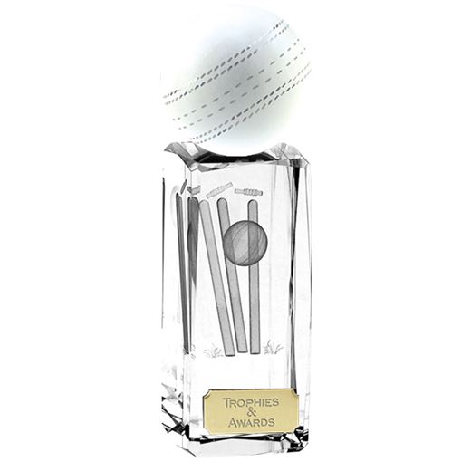 Clarity Crystal Cricket Ball Glass Award 17cm (6.75")
