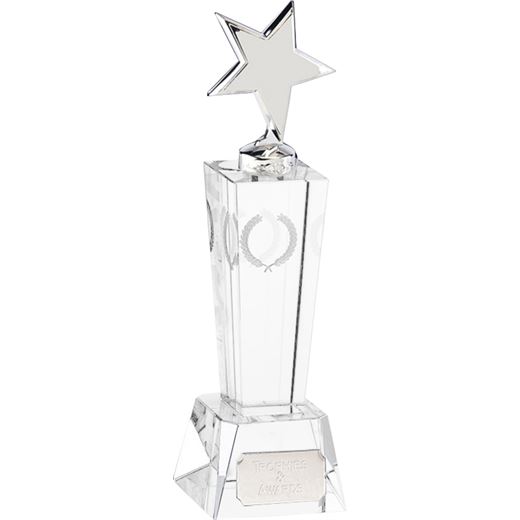 Unite Silver Star Award 18cm (7")
