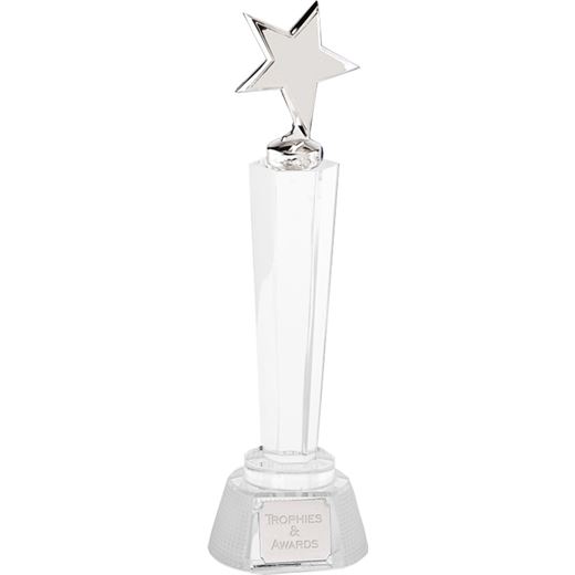 Agility Silver Star Award 26cm (10.25")