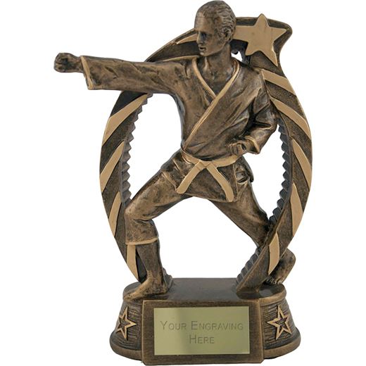 Antique Gold Star Trim Martial Arts Trophy 19cm (7.5")