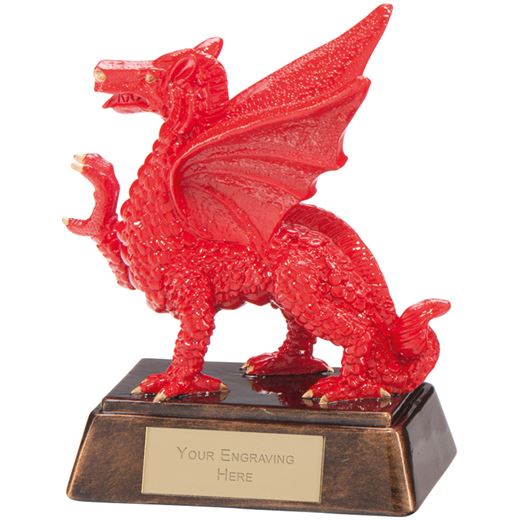 Celtic Dragon Award 13.5cm (5.25")