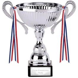 TROPHY CUP AWARD 2 SIZES AVAILABLE ENGRAVED FREE TURIN SILVER HANDLES & RIBBONS 
