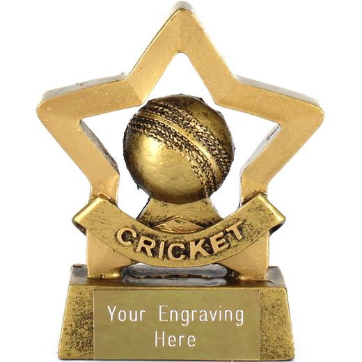 Mini Stars Cricket Trophy with Cricket Ball 8.5cm (3.25")