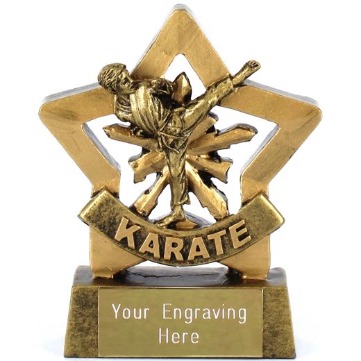 Mini Stars Karate Boy Award 8.5cm (3.25")