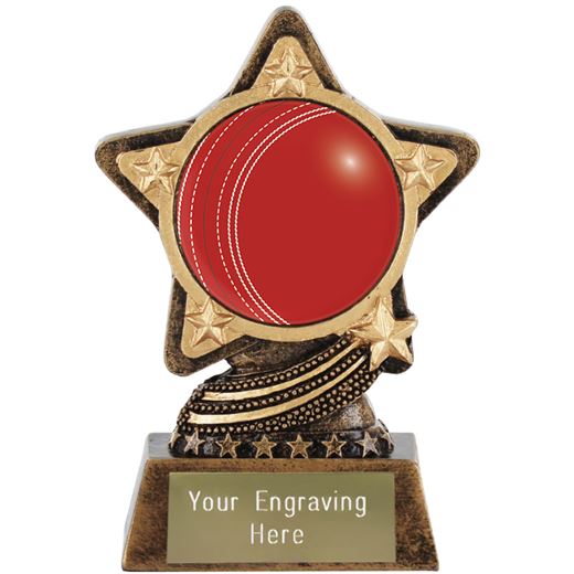 Centre Cricket Ball Trophy by Infinity Stars 10cm (4")