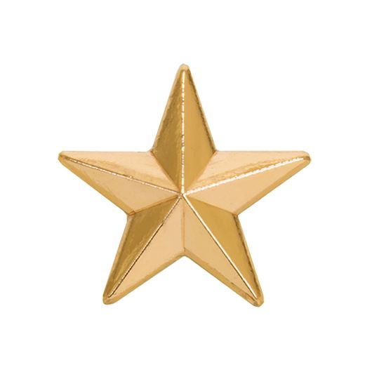 Gold Star Lapel Badge 12mm