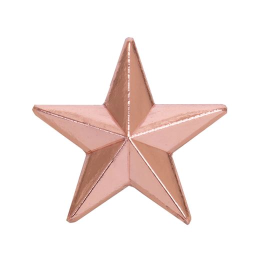 Bronze Star Lapel Badge 12mm