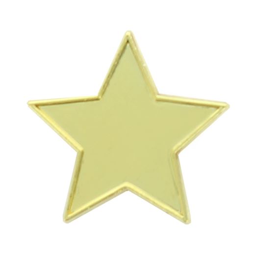 Gold Star Lapel Badge 20mm