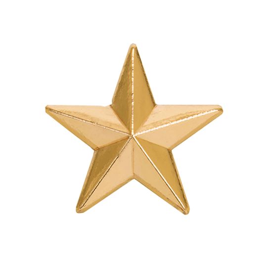 Gold Star Lapel Badge 8mm
