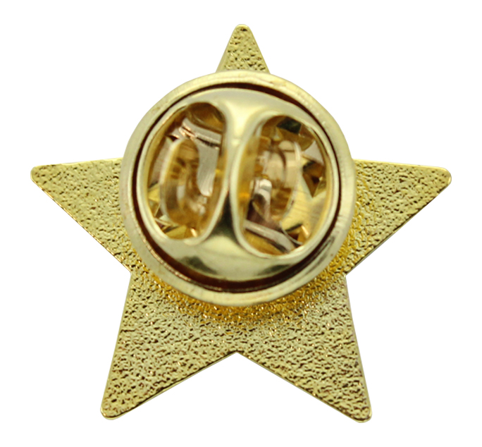 Gold star pin badges