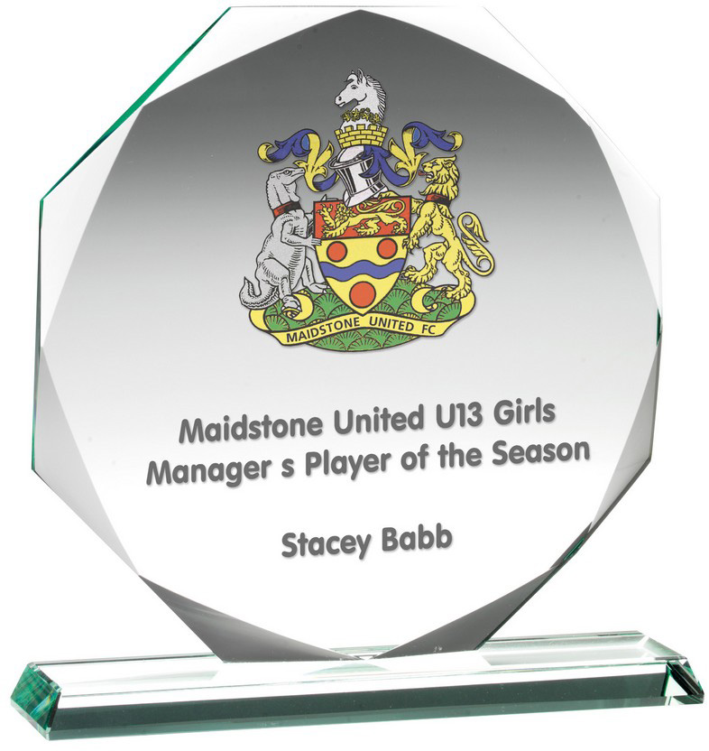 Personalised Engraved Emblem Cup Great Player Team Award 