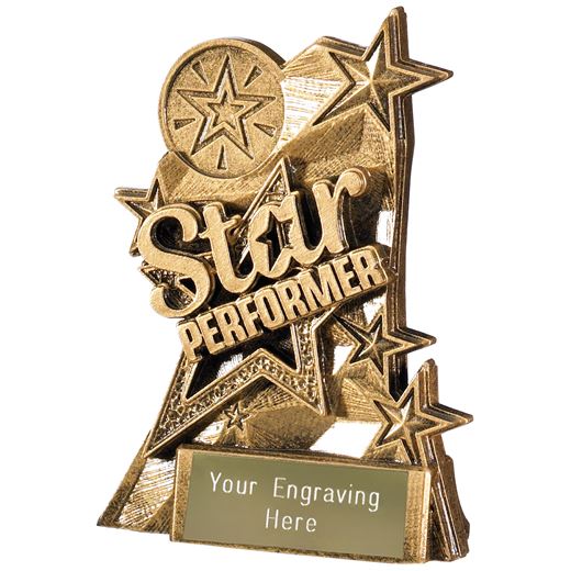 Star Performer Trophy 13.5cm (5.25")