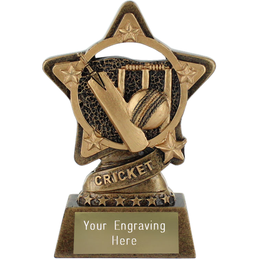Cricket Trophy by Infinity Stars 10cm (4")