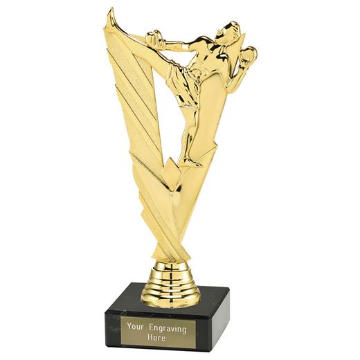 Valour Kickboxing Trophy on Marble Base Gold 21cm (8.25")