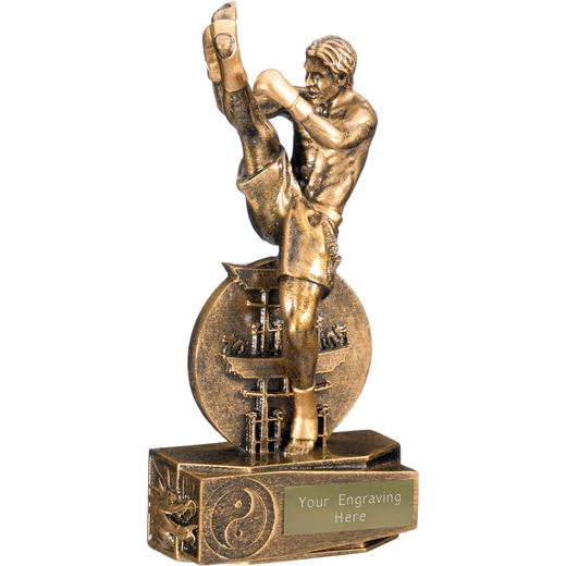 Kickboxing Male Action Figure Trophy Gold 18.5cm (7.25")