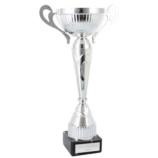 Fleming Trophy Cup Silver 28cm (11")