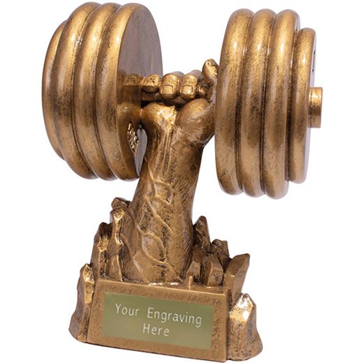 Power Weights Gym Fitness Trophy 17cm (6.75")