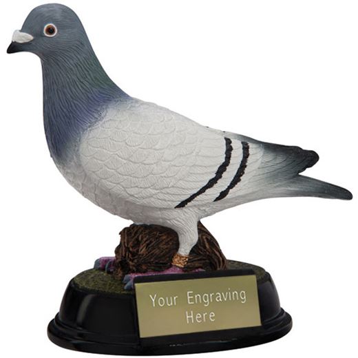 3D Resin Elite Pigeon Racing Trophy 16cm (6.25")