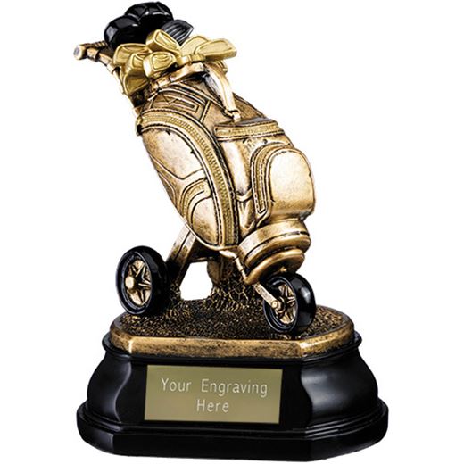 Gold Resin Golf Bag Trophy on Black Base 12.5cm (5")