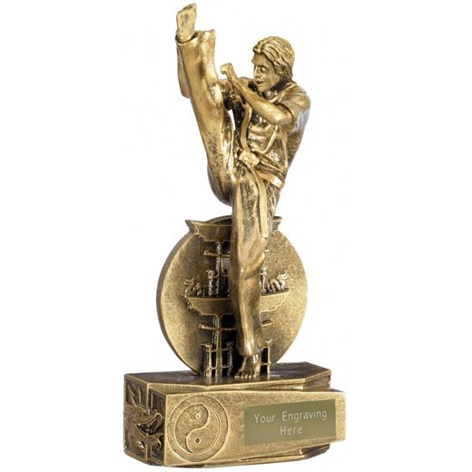 Karate Male Action Figure Trophy Antique Gold 19.5cm (7.75")