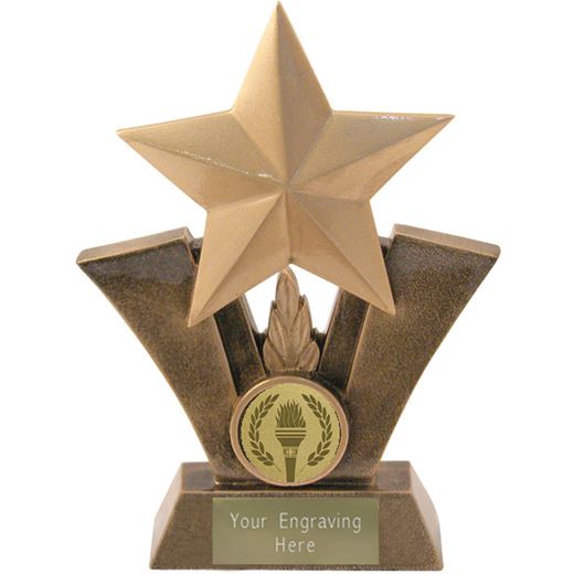 Gold Resin Star Trophy with Centre Disc 12.5cm (5")