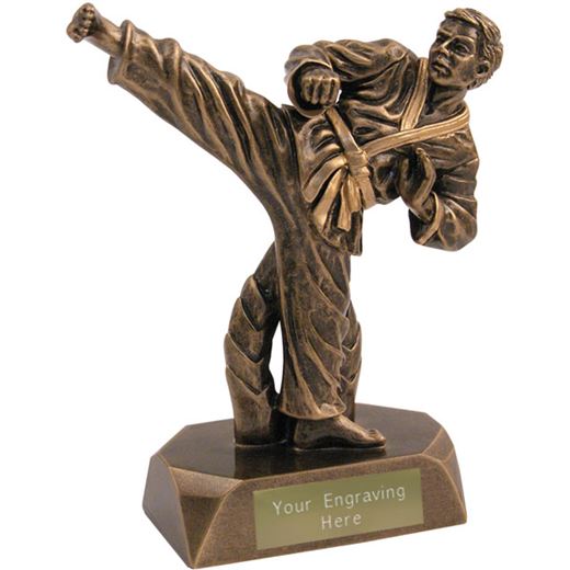 Resin Antique Gold Karate Award 19cm (7.5")