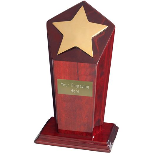 Gold Finish Star Award on Piano Wood Base 23cm (9")