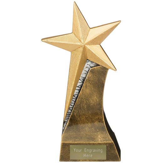Star Multi Award Trophy Antique Gold 20cm (8")