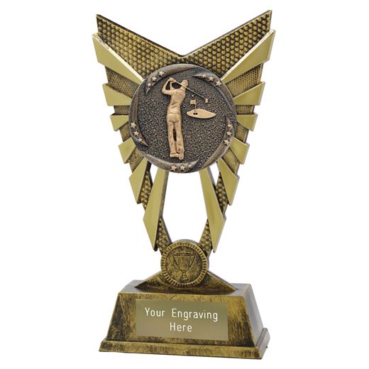 Vesta Male Golfer Trophy Gold 23cm (9")