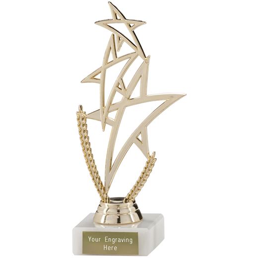 Gold Rising Star Multi Award Trophy 18cm (7")
