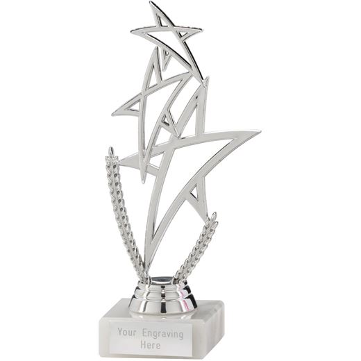 Silver Rising Star Multi Award Trophy 18cm (7")