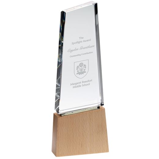 Monet Glass Award Plaque Clear On Wooden Base 26cm (10.25")