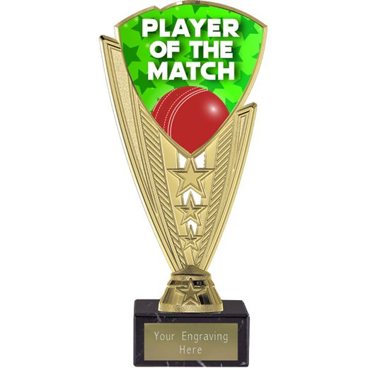 Player Of The Match Cricket Trophy Gold by Utopia 19.5cm (7.75")