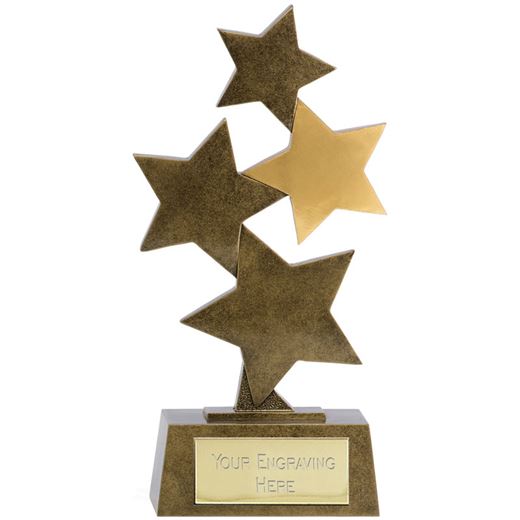 Starburst Resin Multi Award 24cm (9.5")