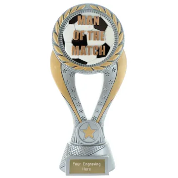 Gold Triumph Male Football Celebration Award Trophy 2 sizes free engraving & p&p 