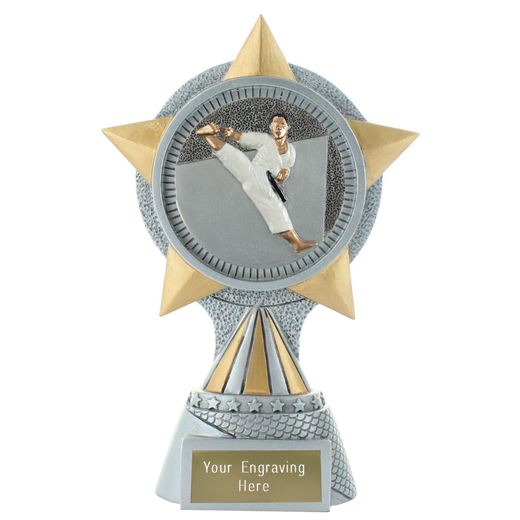 Alpine Karate Trophy 18cm (7")