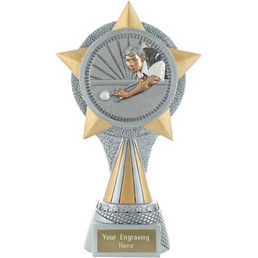 Alpine Snooker Player Trophy 21cm (8.25")