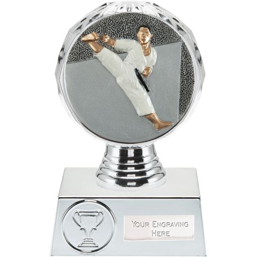 Karate Trophy Silver Hemisphere 13.5cm (5.25")