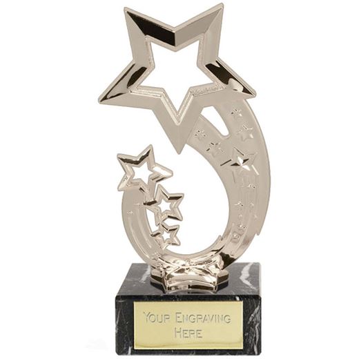 Silver Rising Star Trophy 17.5cm (7")