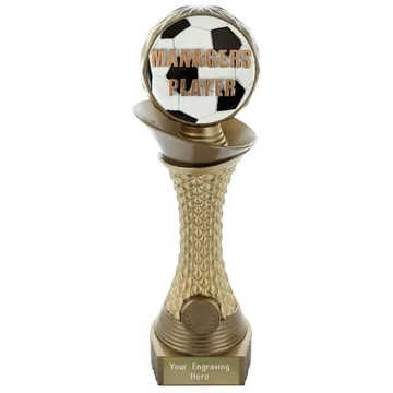 Football Managers Player Trophy Cup Award,210mm,FREE Engraving TQ15109B 